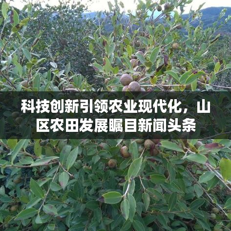 科技创新引领农业现代化，山区农田发展瞩目新闻头条