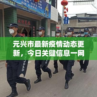 元兴市最新疫情动态更新，今日关键信息一网打尽！
