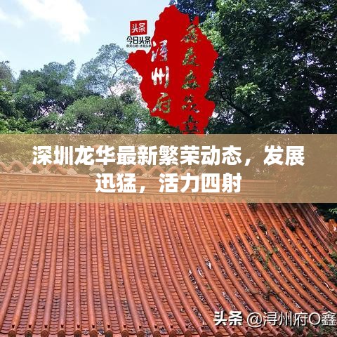 深圳龙华最新繁荣动态，发展迅猛，活力四射