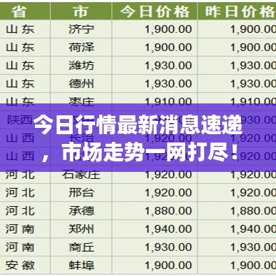 今日行情最新消息速递，市场走势一网打尽！