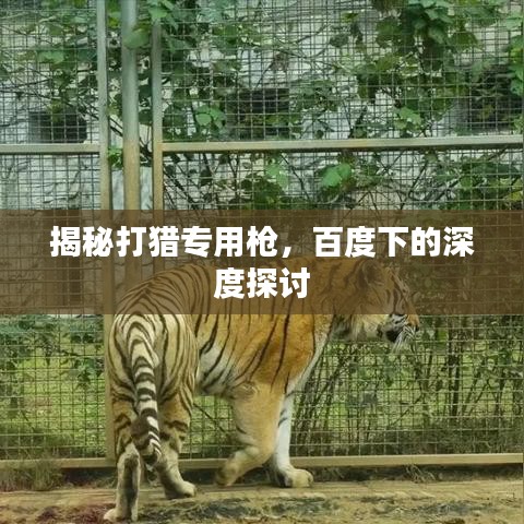 揭秘打猎专用枪，百度下的深度探讨