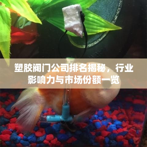 塑胶阀门公司排名揭秘，行业影响力与市场份额一览