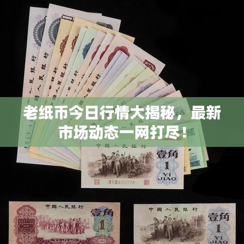 老纸币今日行情大揭秘，最新市场动态一网打尽！