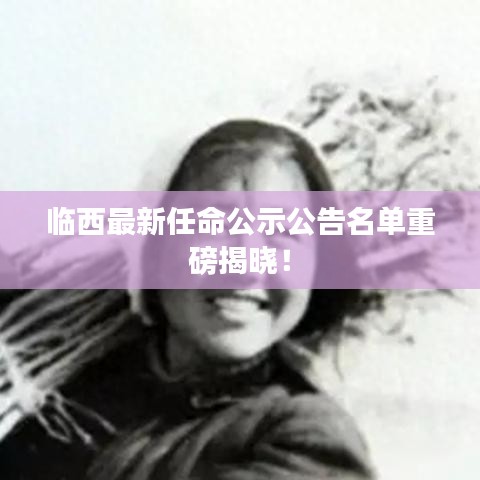 临西最新任命公示公告名单重磅揭晓！