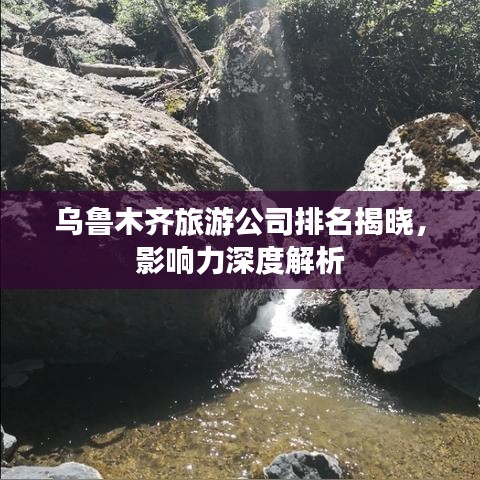 乌鲁木齐旅游公司排名揭晓，影响力深度解析