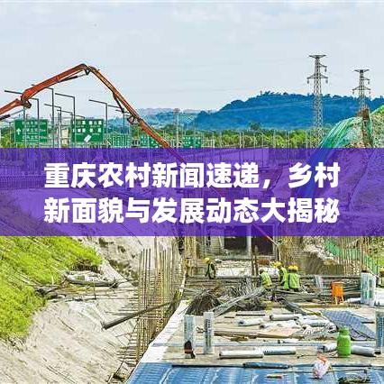 重庆农村新闻速递，乡村新面貌与发展动态大揭秘