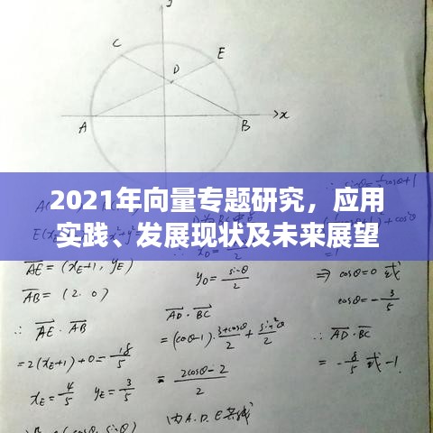 2021年向量专题研究，应用实践、发展现状及未来展望