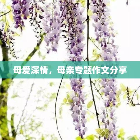 母爱深情，母亲专题作文分享