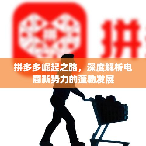 拼多多崛起之路，深度解析电商新势力的蓬勃发展