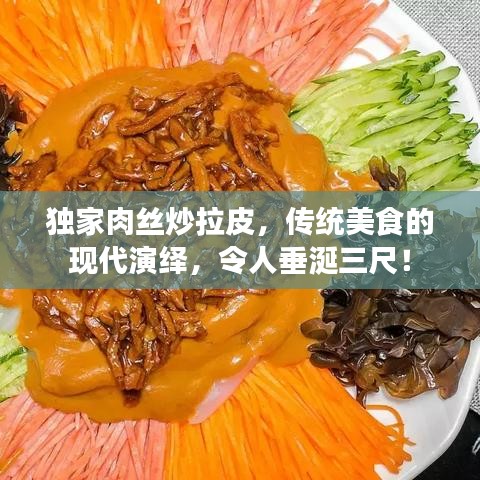 独家肉丝炒拉皮，传统美食的现代演绎，令人垂涎三尺！