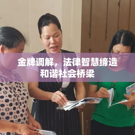 金牌调解，法律智慧缔造和谐社会桥梁