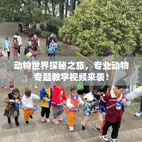 动物世界探秘之旅，专业动物专题教学视频来袭！