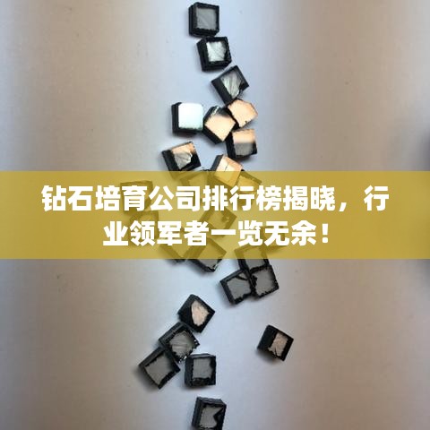 钻石培育公司排行榜揭晓，行业领军者一览无余！
