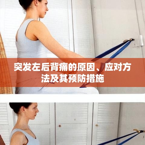 突发左后背痛的原因、应对方法及其预防措施