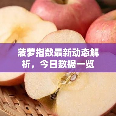 菠萝指数最新动态解析，今日数据一览