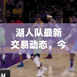 湖人队最新交易动态，今日重磅操作揭秘！