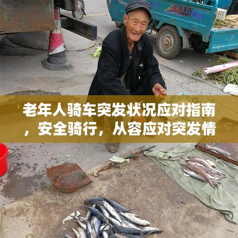 老年人骑车突发状况应对指南，安全骑行，从容应对突发情况