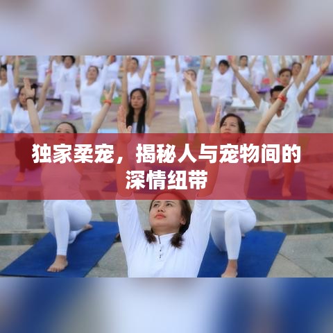 独家柔宠，揭秘人与宠物间的深情纽带