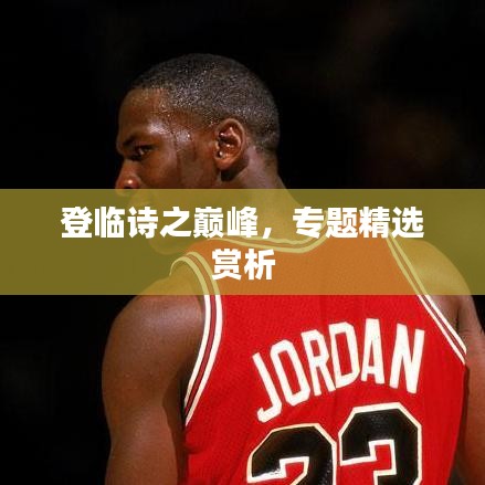 登临诗之巅峰，专题精选赏析