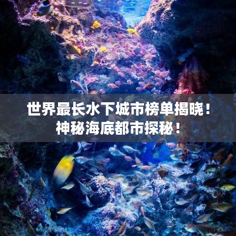 世界最长水下城市榜单揭晓！神秘海底都市探秘！
