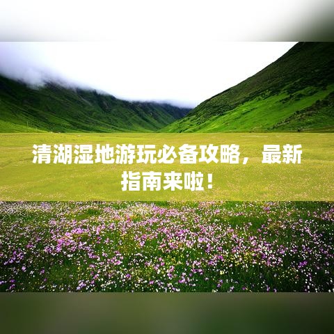 清湖湿地游玩必备攻略，最新指南来啦！