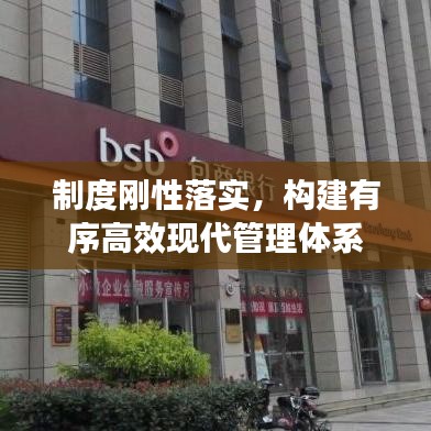 制度刚性落实，构建有序高效现代管理体系