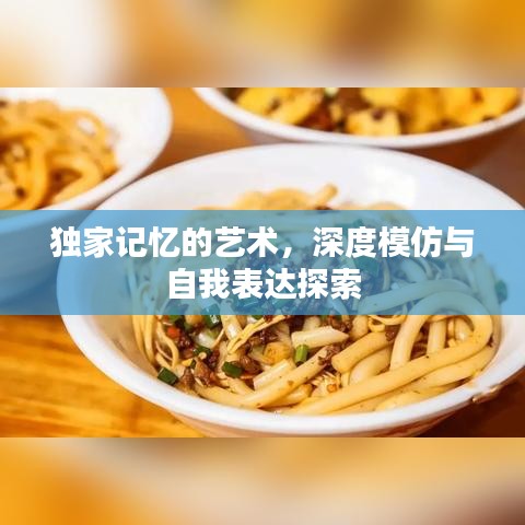 独家记忆的艺术，深度模仿与自我表达探索