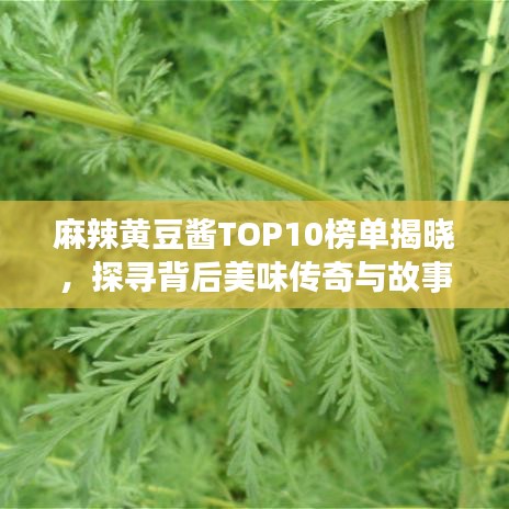 麻辣黄豆酱TOP10榜单揭晓，探寻背后美味传奇与故事！
