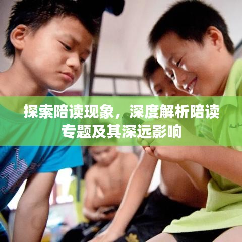 探索陪读现象，深度解析陪读专题及其深远影响