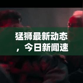 猛狮最新动态，今日新闻速递