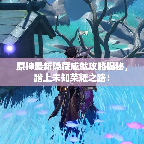 原神最新隐藏成就攻略揭秘，踏上未知荣耀之路！