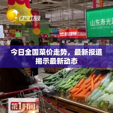 今日全国菜价走势，最新报道揭示最新动态