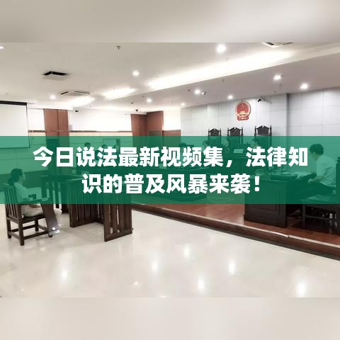 今日说法最新视频集，法律知识的普及风暴来袭！