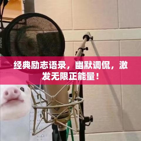 经典励志语录，幽默调侃，激发无限正能量！