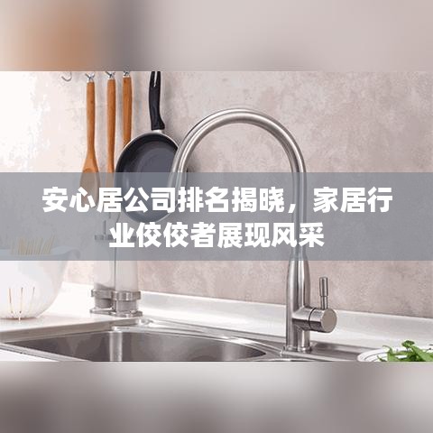 安心居公司排名揭晓，家居行业佼佼者展现风采