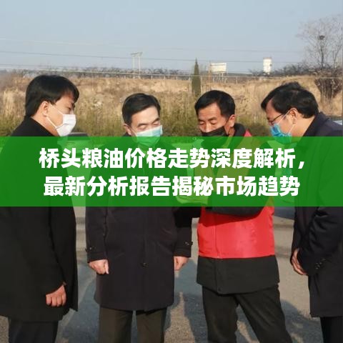 桥头粮油价格走势深度解析，最新分析报告揭秘市场趋势