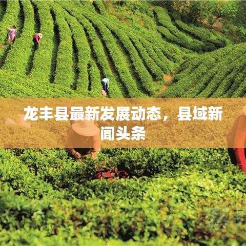 龙丰县最新发展动态，县域新闻头条