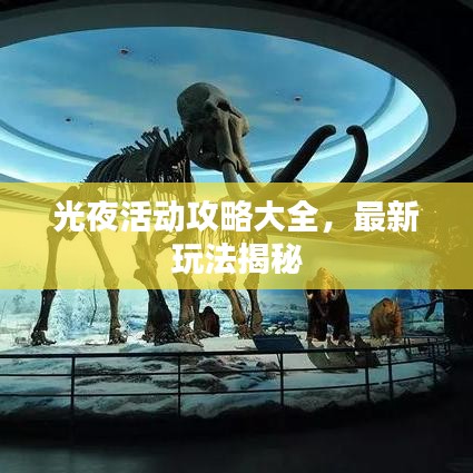 光夜活动攻略大全，最新玩法揭秘