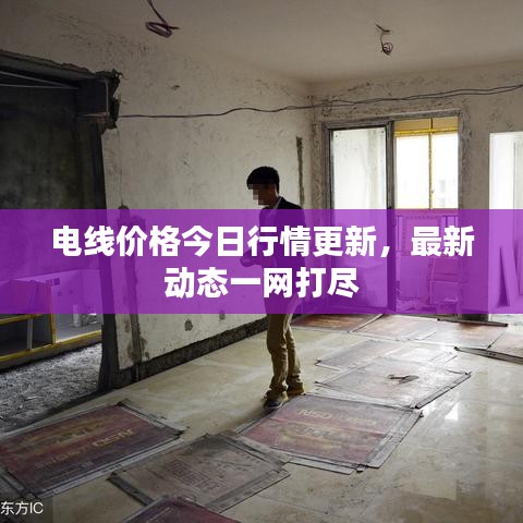 电线价格今日行情更新，最新动态一网打尽